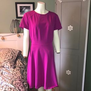 Tahari ALS Size 14 Hot Pink Fit and Flare Dress